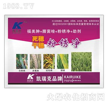 ���������P��-�P���