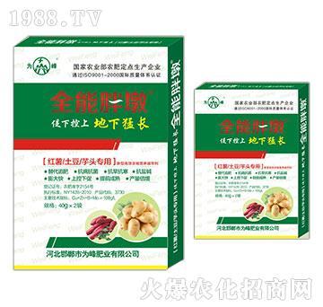 �t�������������^����-ȫ���ֶ�-���