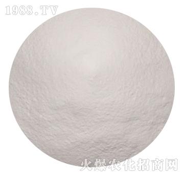 �Ҷ����������\�c-���_(d��)