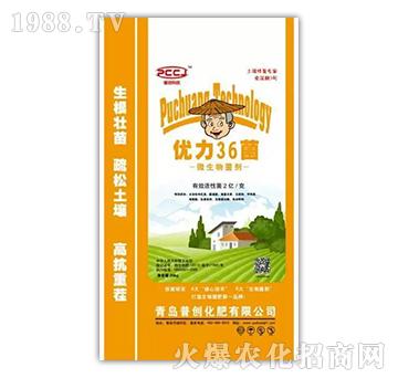 ��(y��u)��36�����������������-�Մ�(chu��ng)