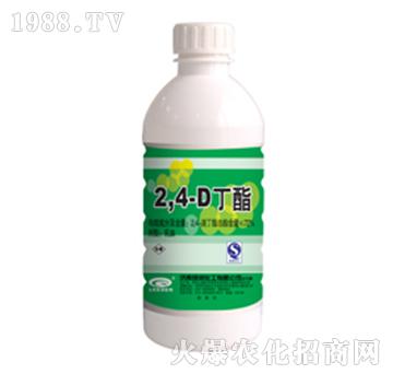 72%2��4�ζ���-�G��