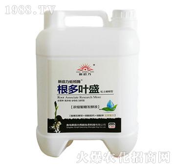 �����~ʢ-����