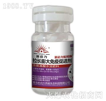 ���L������ߴ��M(j��n)��-����