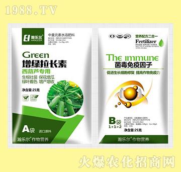 ���G���L�������J����+������������-嫘���