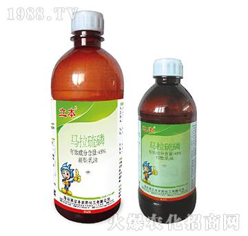 45%�R����������-��