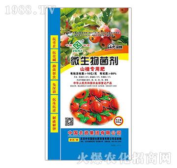 ɽ髌���΢�������-���r(n��ng)