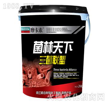 ������������(li��n)��-Ħ����-��о���H