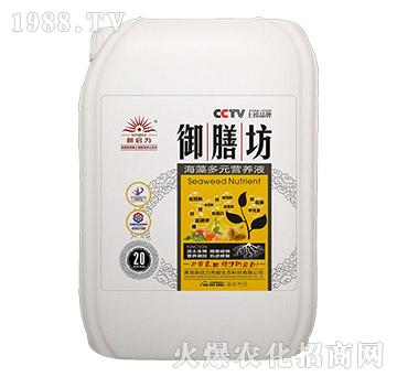 20kg�����Ԫ�I(y��ng)�B(y��ng)Һ-���ŷ�-����