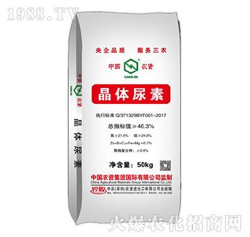 ���w����-���r