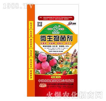 ΢�������-�����-���r