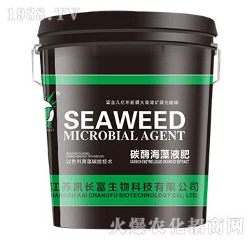 ̼ø����Һ�ʣ��G��-�P�L��