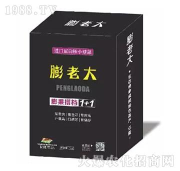 �����n1+1-���ϴ�-�|¡�r(n��ng)�I(y��)