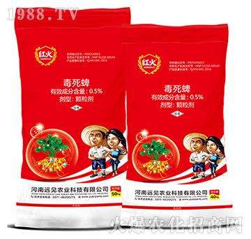 ��������ˎ��-0.5%������-�h(yu��n)Ҋ(ji��n)�r(n��ng)�I(y��)