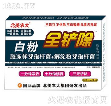 �׷�ȫ�P��-�����r��