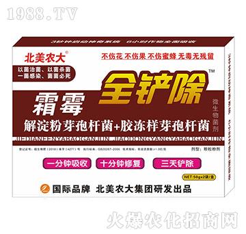 ˪ù-ȫ�P��-�����r��