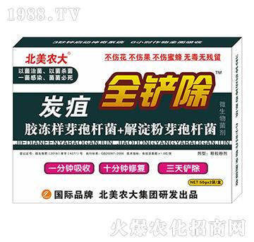 ̿��-ȫ�P��-�����r��