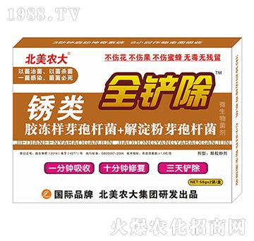 �P�-ȫ�P��-�����r��