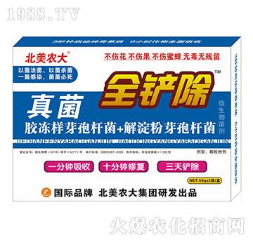 ���-ȫ�P��-�����r��