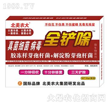 �����������-ȫ�P��-�����r��