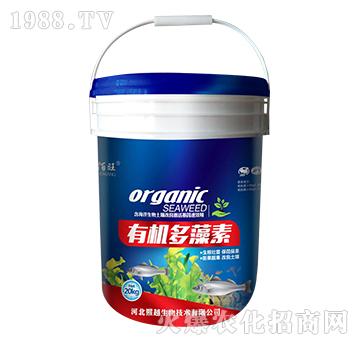 �ЙC������-������-��Խ����