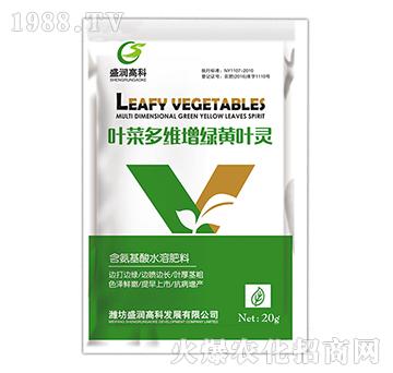 �~�˶�S���G�S�~�`-ʢ���߿�