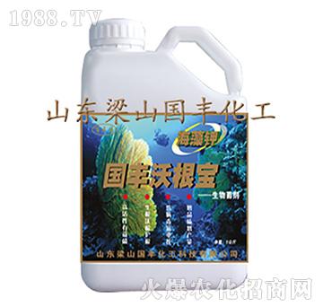 ��(gu��)�S�ָ���-��ɽ��(gu��)�S