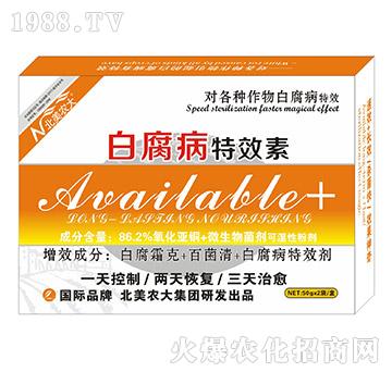 �׸�����Ч��-�����r(n��ng)��