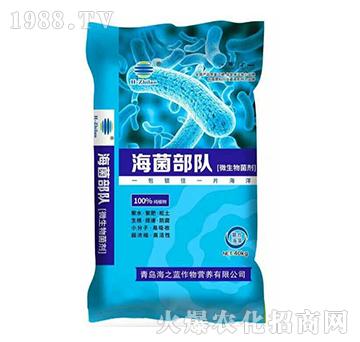 ΢�������-�������-��֮�{