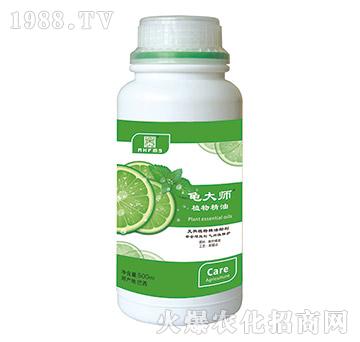 ֲ�ﾫ��-����-������