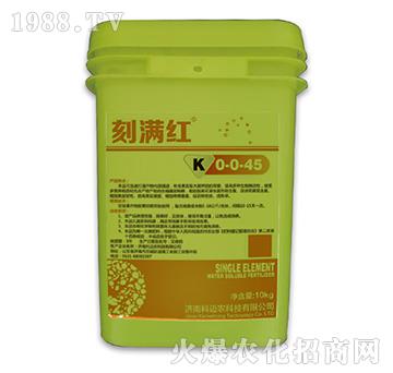 �̝M�t-���~�r(n��ng)