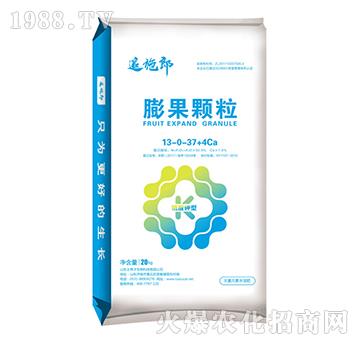 ����w��13-0-37+4Ca-׷ʩ��-�����