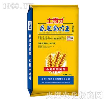 С�����\����-�׷ʄ�����-�����