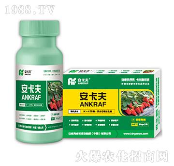 ��ݮ�����~���-������