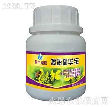 ���mҺ��-�ڷ۾��A��-��(chu��ng)���r