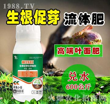 生根促芽流體肥-根芽旺-田小超