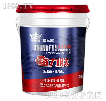 �~����-���m��