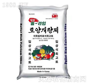 �M(j��n)���Ǵ��}�V-���r(n��ng)�ʘI(y��)