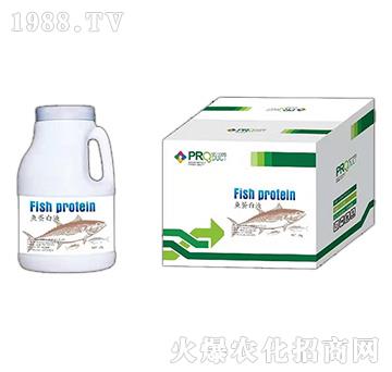 �~����Һ-�۰�