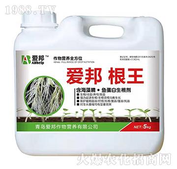 ����-��(��i)��