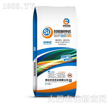 �������׷-���r(n��ng)�r(n��ng)�I(y��)