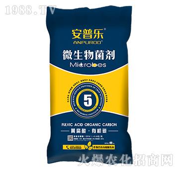 5�|ÿ���S�����ЙC(j��)̼΢�������-���՘�(l��)-�f(w��n)�����B(t��i)