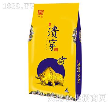 ����-һ�t����