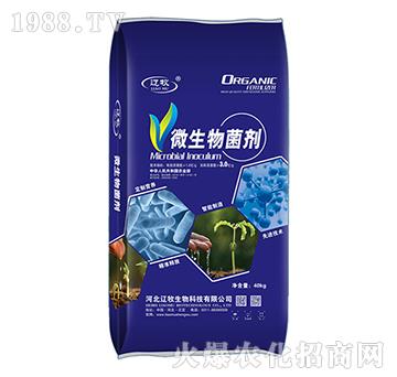 3.0�|ÿ��΢�������-�|������