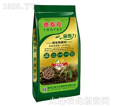 ΢�������-������-��̩��