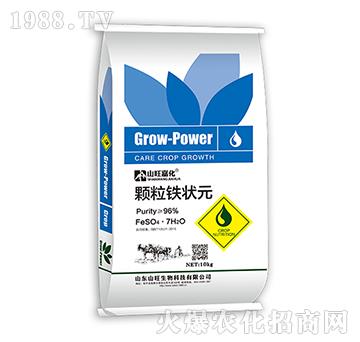 �w���F��Ԫ-ɽ������