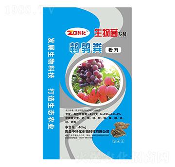 �g���S�ۄ�-�пƻ�