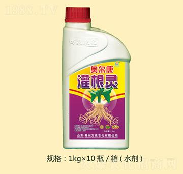 �W��������`-�fȪ�r��