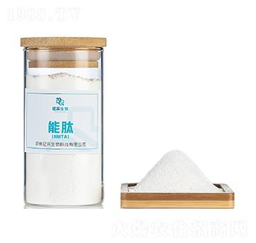 ���ģ�NMTA��-�������