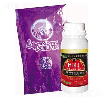 �󶹌��÷N��-�r(n��ng)�̘�