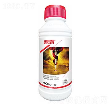 110��ÿ��������-����-һ������